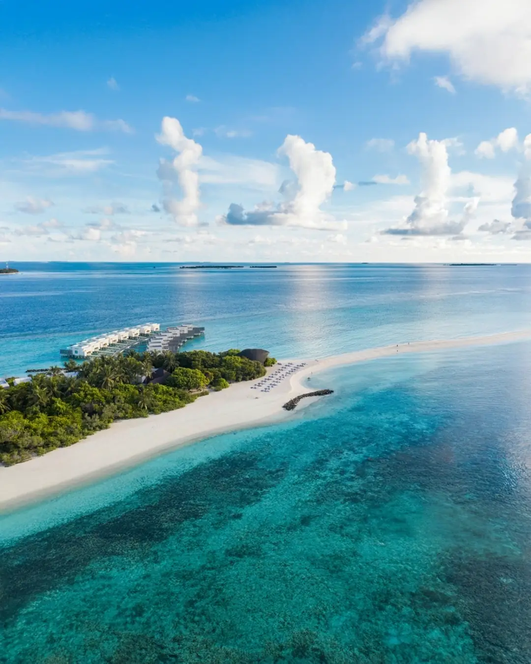 Professional collage-20-H191