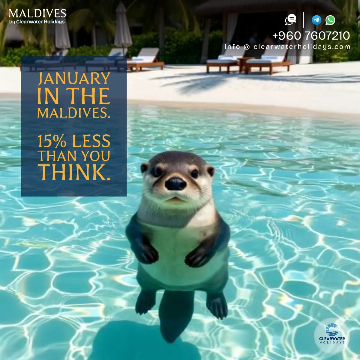 CLW- 24 October 2025-35-JanuaryEscapeValue